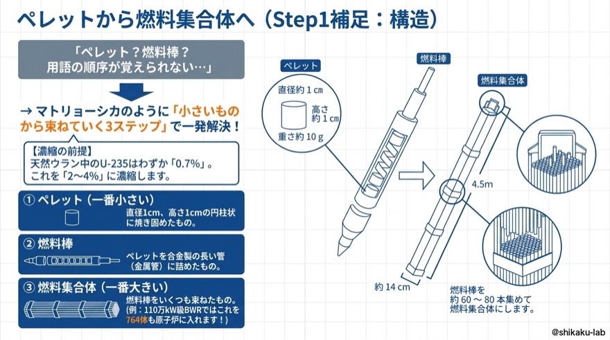 ペレットから燃料集合体|Step1補足・構造