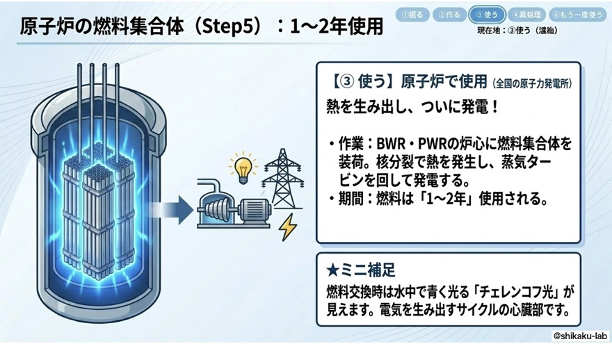 Step5 使う|BWR・PWR炉心で1〜2年・チェレンコフ光