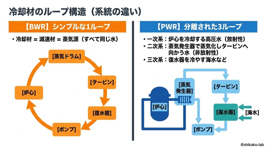 冷却材のループ構造|BWR 1ループとPWR 3ループの違い