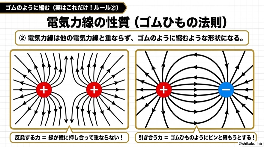 電気力線のルール2|ゴムのように縮む性質と反発・引き合いの図解