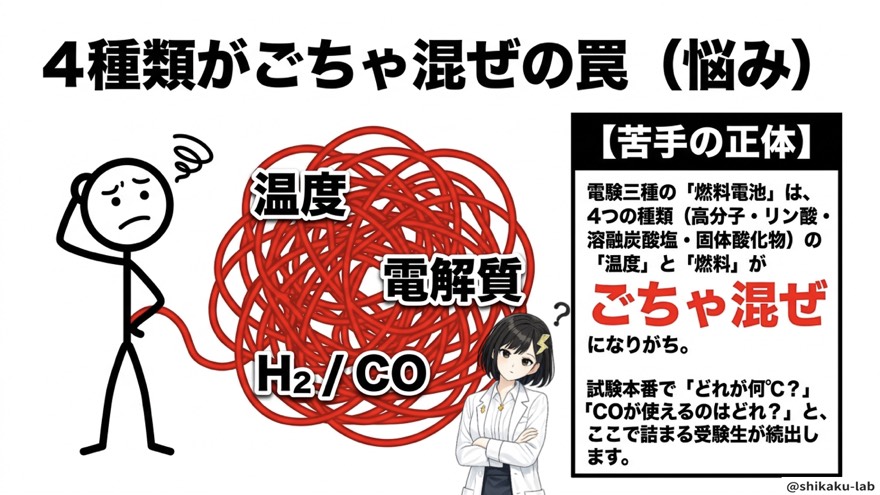 4種類がごちゃ混ぜの罠|苦手の正体