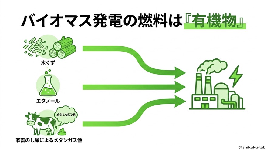 バイオマス発電の燃料は有機物|木くず・エタノール・し尿