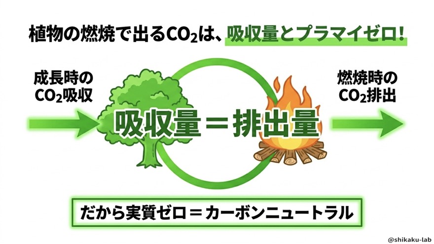 植物の燃焼CO2はプラマイゼロ|カーボンニュートラルの正体