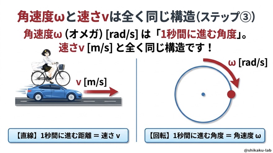 角速度ωと速さvは全く同じ構造(ステップ③)